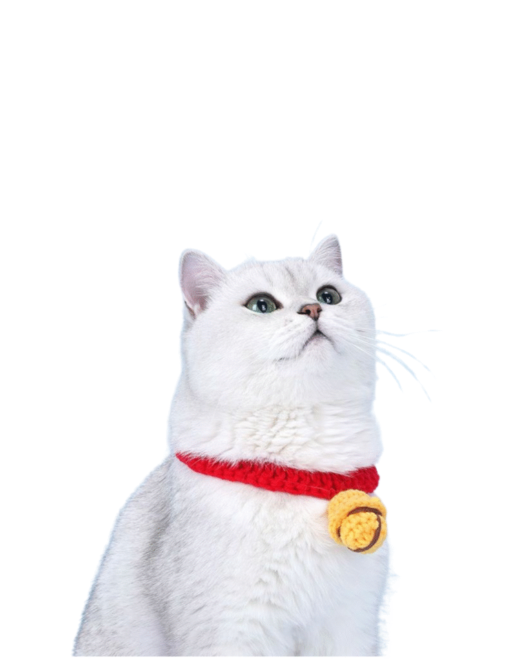 Beige Beauty Skincare Product Features Benefits Instagram Post