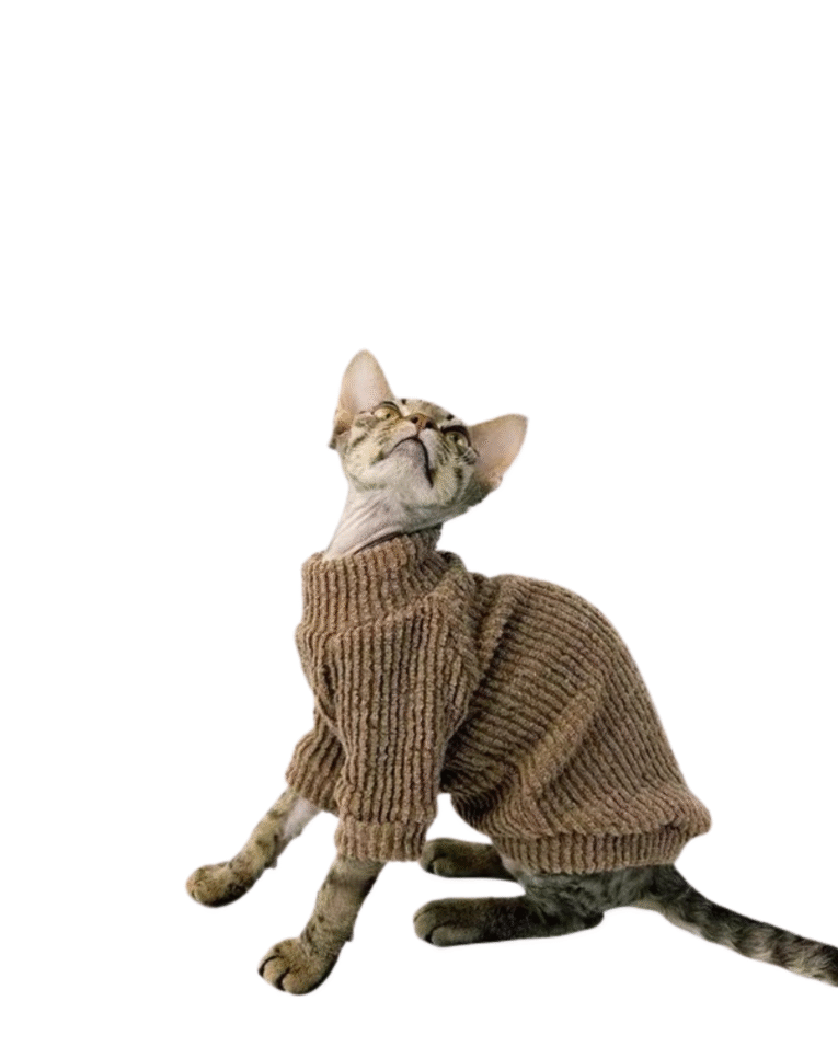 Beige Beauty Skincare Product Features Benefits Instagram Post 102.png