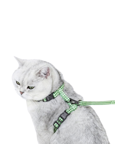Checkered Cat Leash