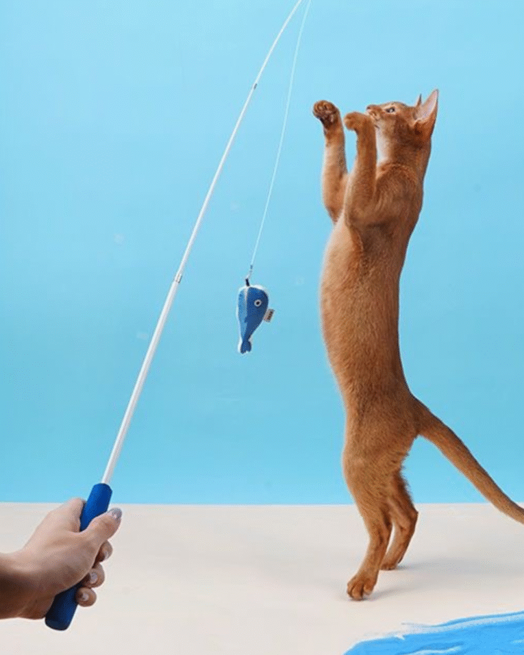 Beige Beauty Skincare Product Features Benefits Instagram Post