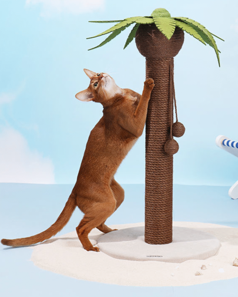 Beige Beauty Skincare Product Features Benefits Instagram Post