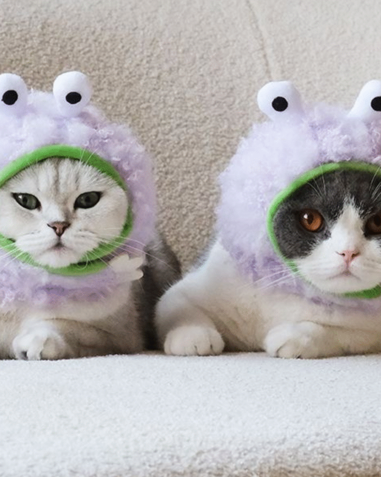 Beige Beauty Skincare Product Features Benefits Instagram Post