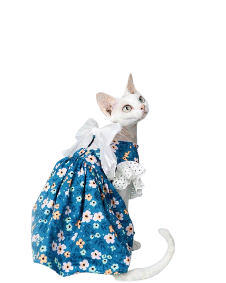 Elegant Floral Cat Dress with Lace Accents