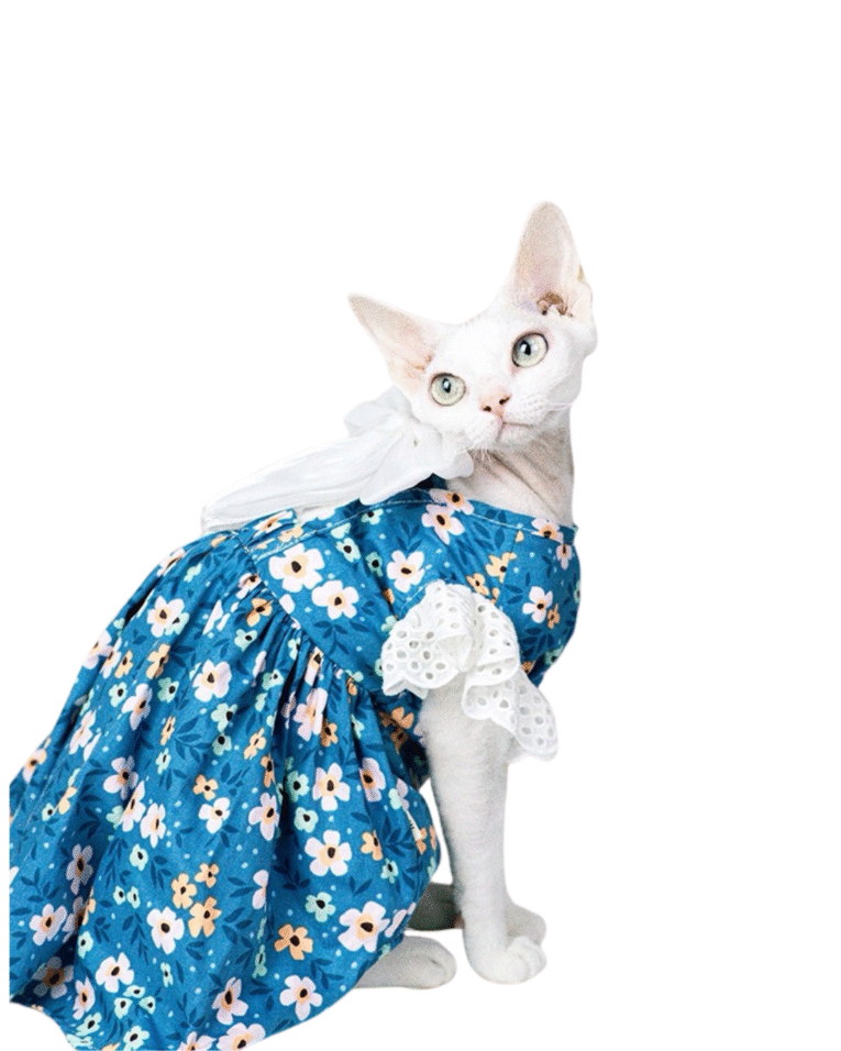 Beige Beauty Skincare Product Features Benefits Instagram Post 62.png