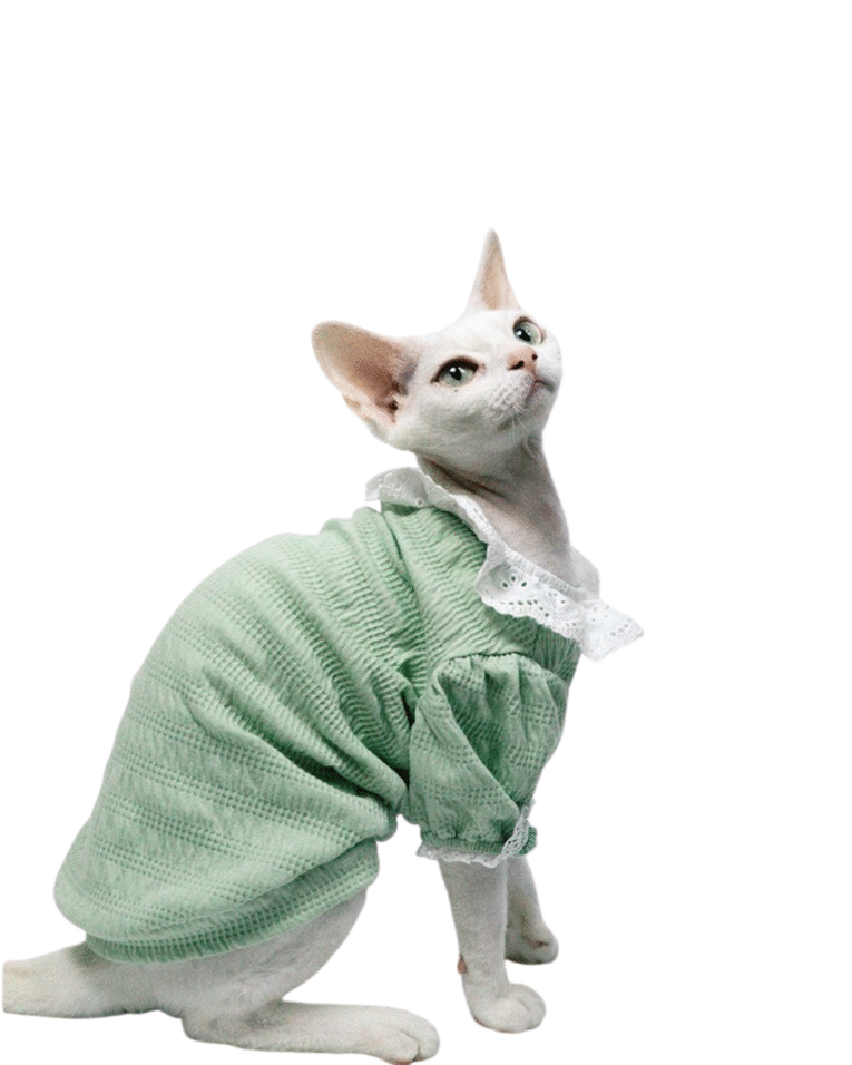 Beige Beauty Skincare Product Features Benefits Instagram Post 66.png