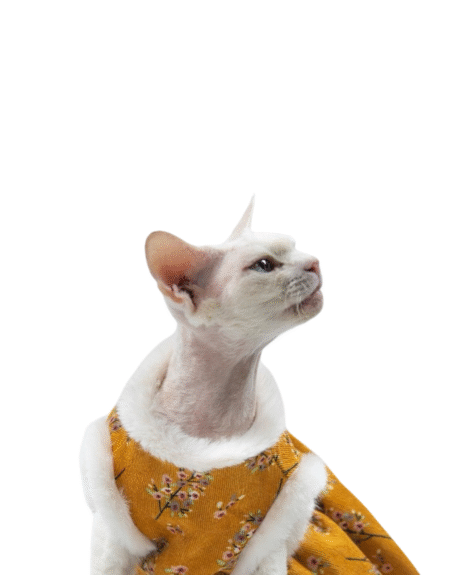 Floral Fleece-Lined Cat Dress