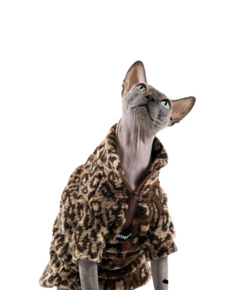 Leopard Print Zippered Cat Sweater