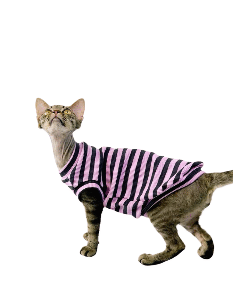 Beige Beauty Skincare Product Features Benefits Instagram Post 73.png