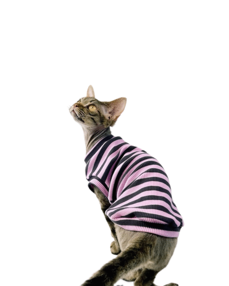 Pink & Black Striped Cat Shirt