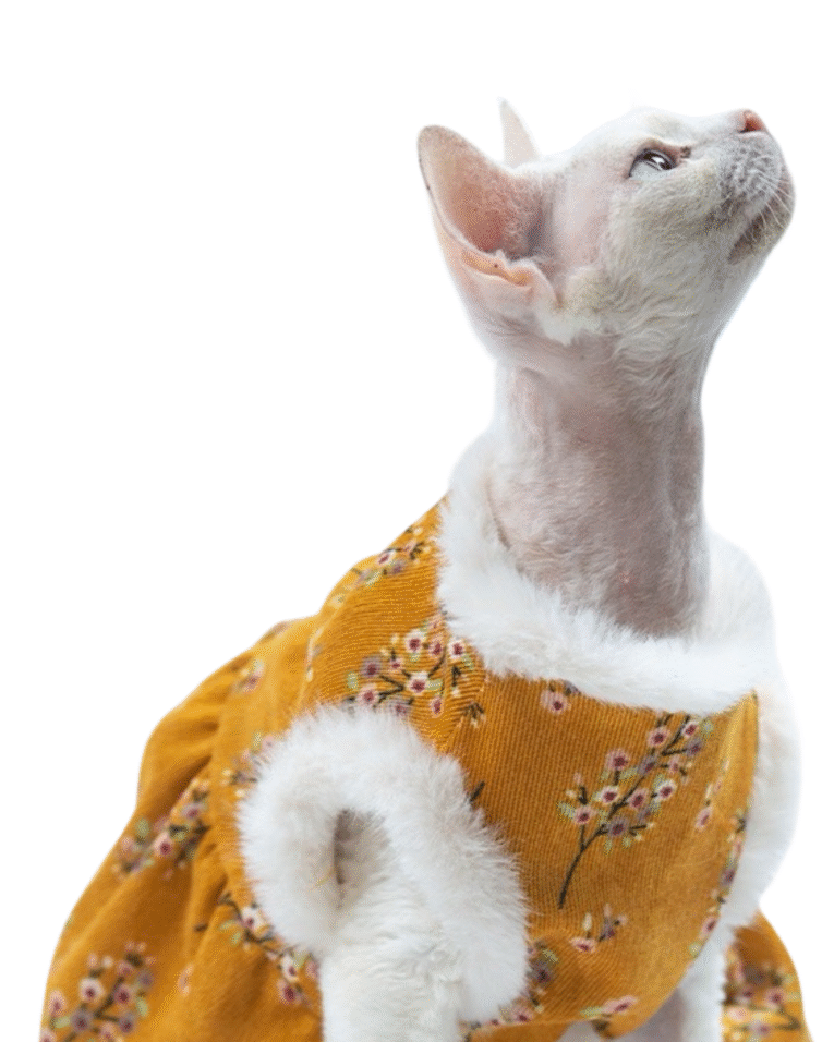 Beige Beauty Skincare Product Features Benefits Instagram Post 75.png