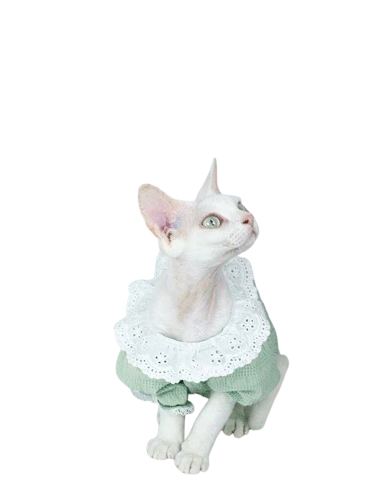 Beige Beauty Skincare Product Features Benefits Instagram Post 77.png