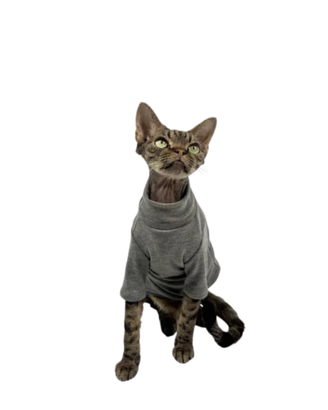 Stylish Cat T-Shirts in Soft Neutral and Charcoal Grey
