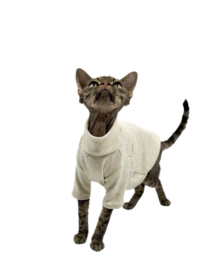 Beige Beauty Skincare Product Features Benefits Instagram Post 79.png