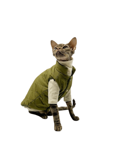 Cozy Olive Green Quilted Vest with Beige Turtleneck