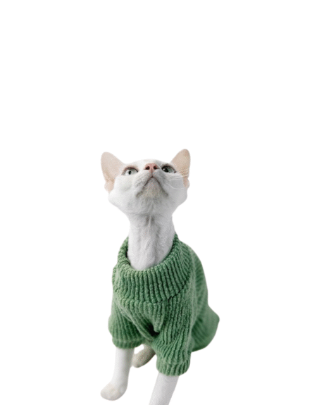 Cozy Ribbed Knit Turtleneck Sweaters – Pink, Brown & Green Collection