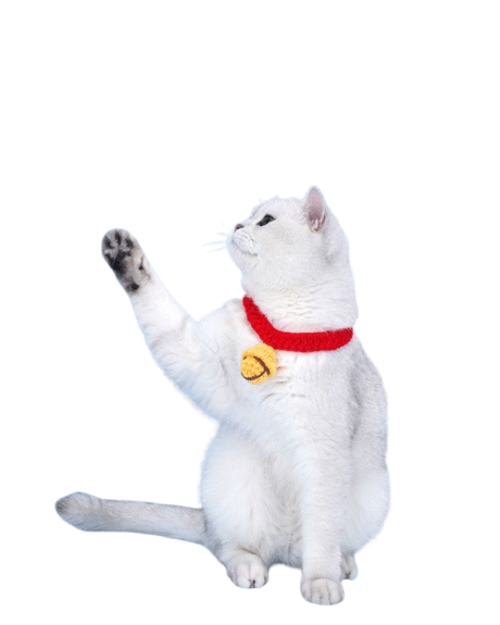 Crochet Bell Cat Collar