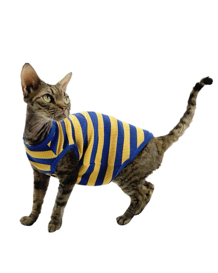 Beige Beauty Skincare Product Features Benefits Instagram Post 94.png