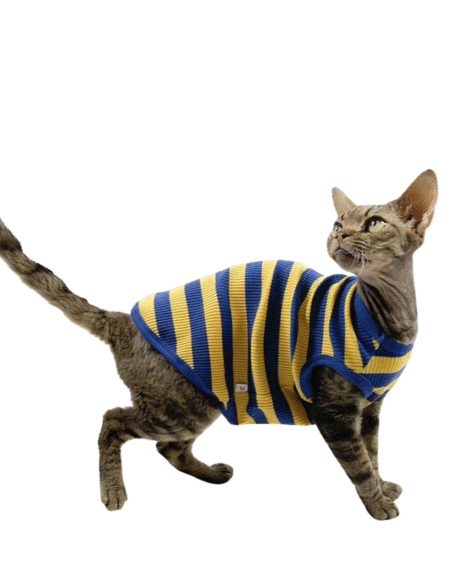 Sunny Stripes Cat Sweater – Cozy Blue & Yellow Knit