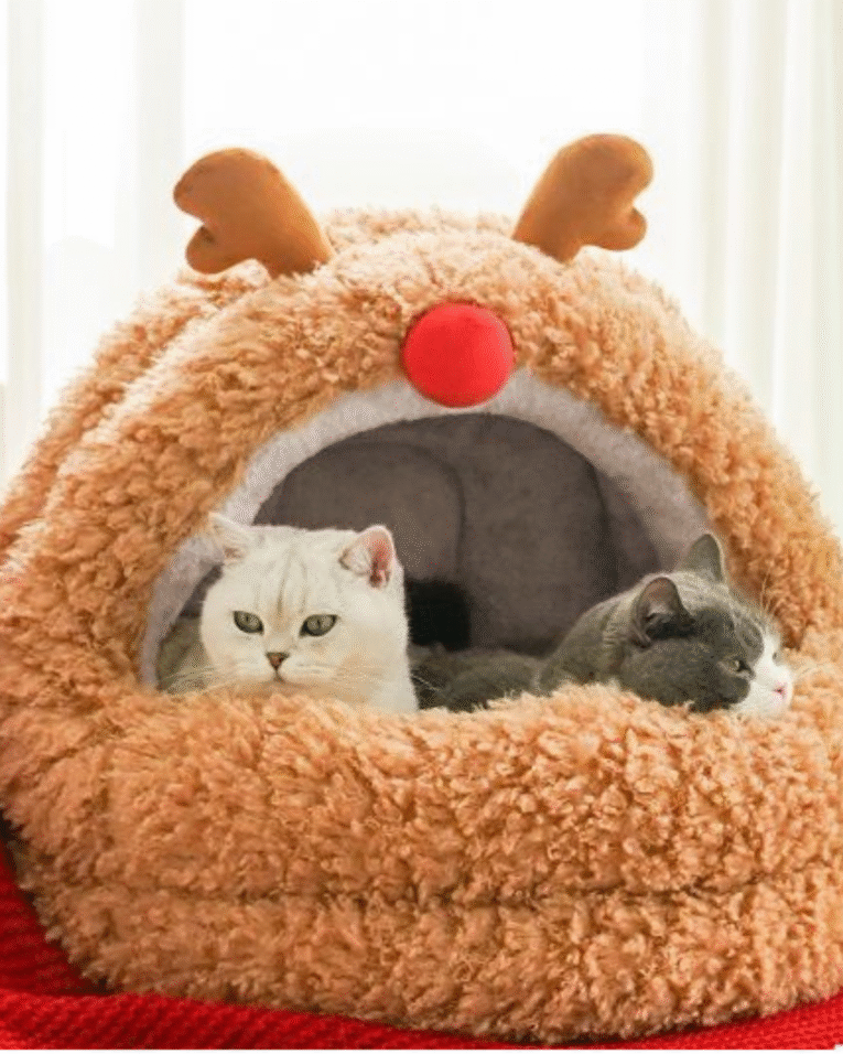 Beige Beauty Skincare Product Features Benefits Instagram Post