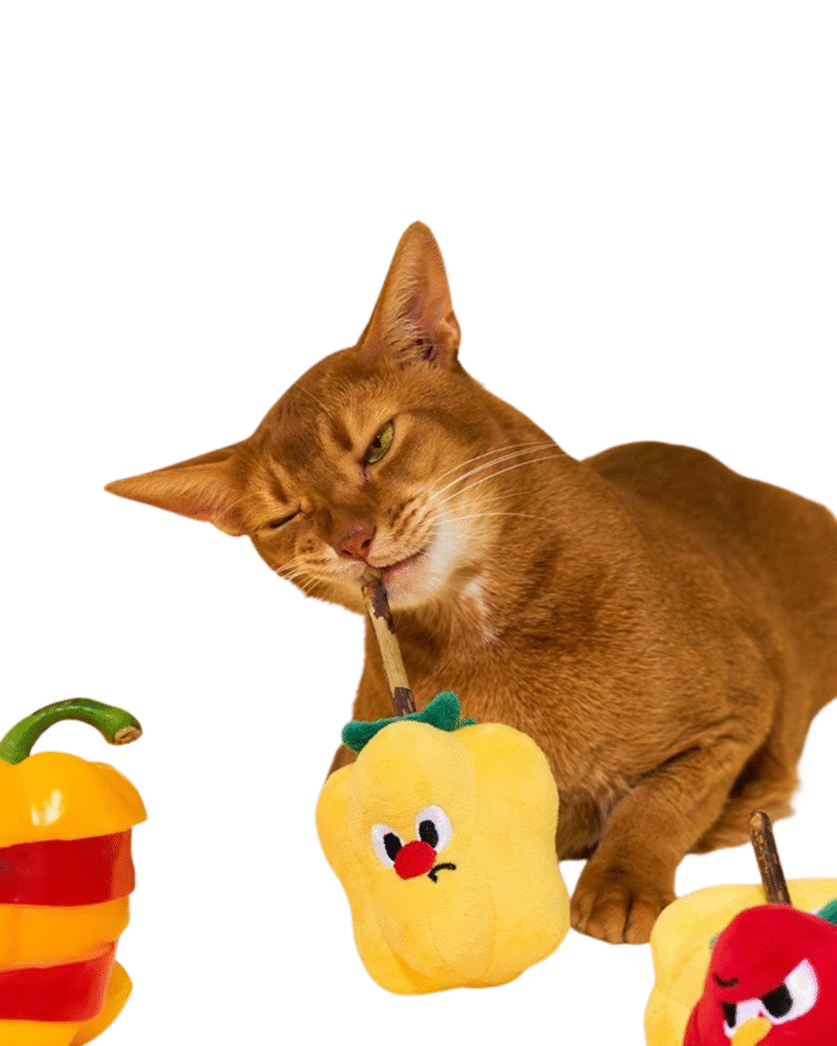 Beige Beauty Skincare Product Features Benefits Instagram Post