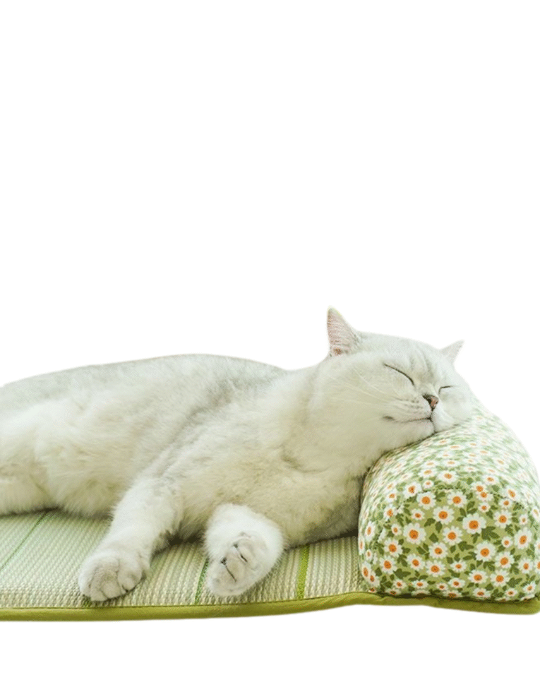 Beige Beauty Skincare Product Features Benefits Instagram Post