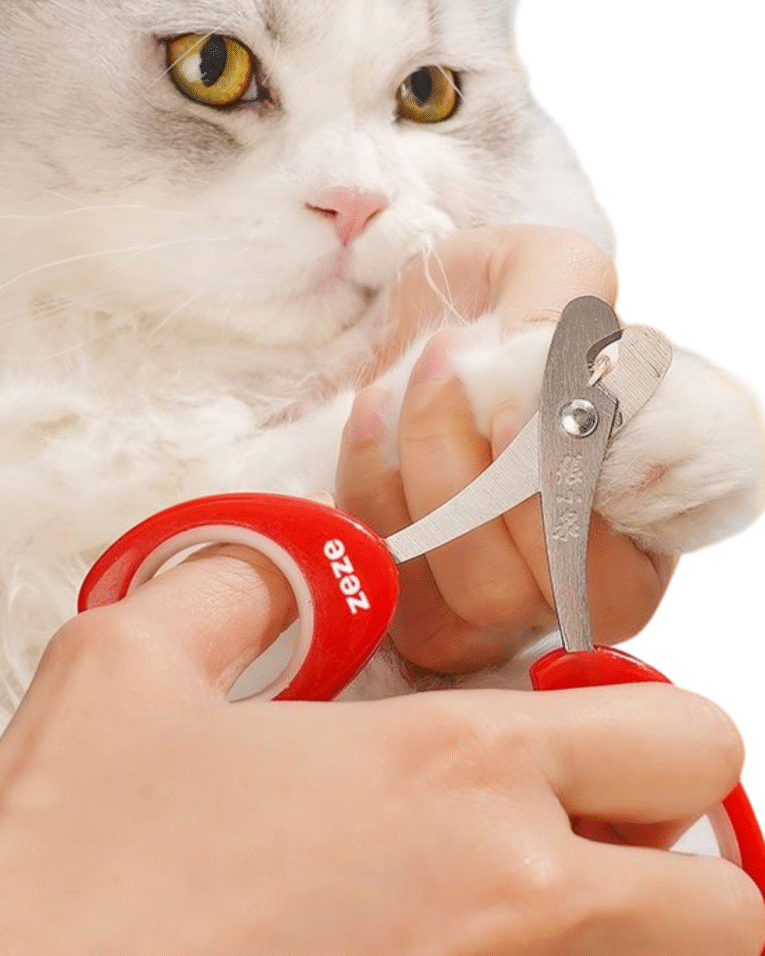 Beige Beauty Skincare Product Features Benefits Instagram Post