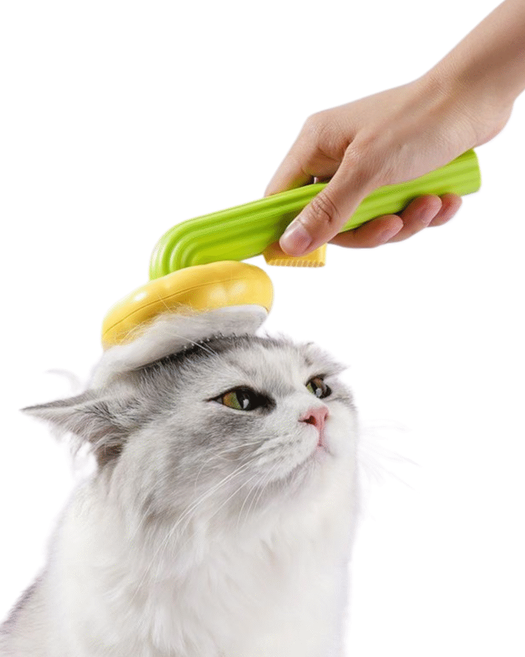 Beige Beauty Skincare Product Features Benefits Instagram Post