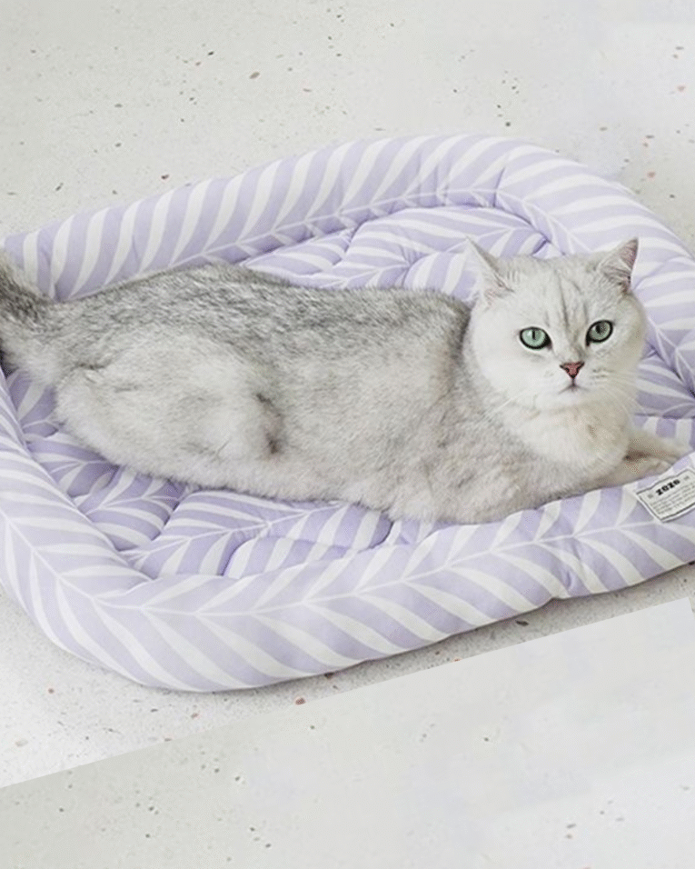 Beige Beauty Skincare Product Features Benefits Instagram Post